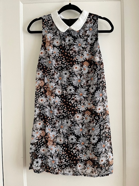 WalG London Dresses & Skirts - WalG London Daisy Floral Sheer Collared Mini Dress Fully Lined XS
